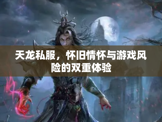 天龙私服，怀旧情怀与游戏风险的双重体验
