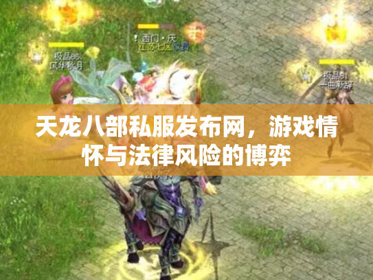 天龙八部私服发布网，游戏情怀与法律风险的博弈