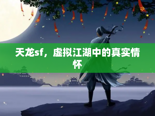 天龙sf，虚拟江湖中的真实情怀