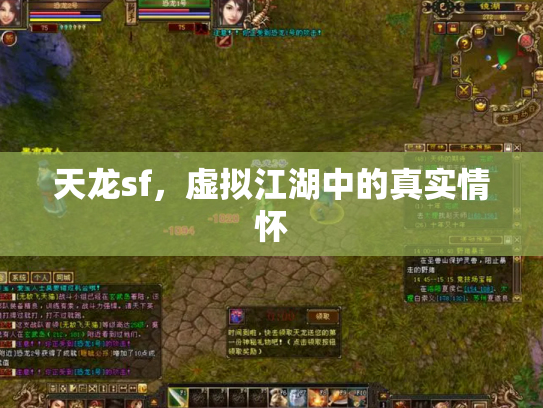 天龙sf，虚拟江湖中的真实情怀