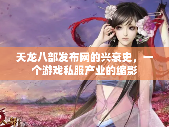 天龙八部发布网的兴衰史，一个游戏私服产业的缩影