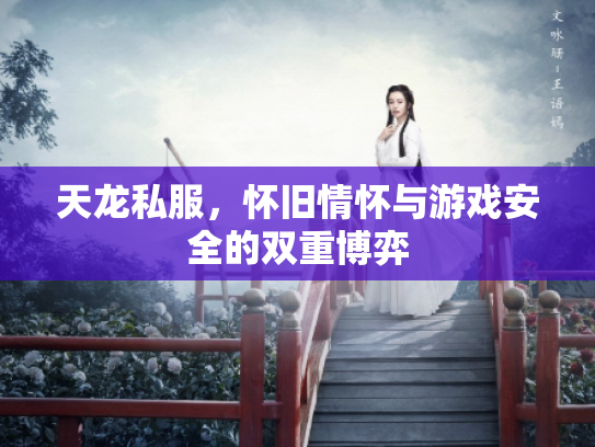 天龙私服，怀旧情怀与游戏安全的双重博弈