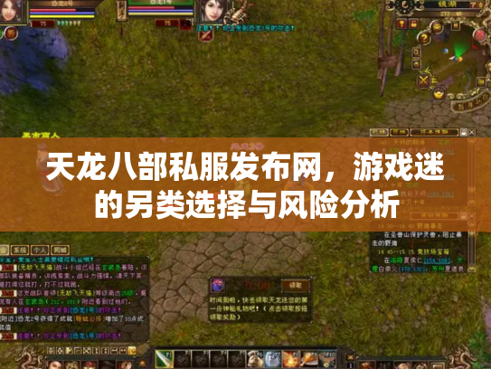 天龙八部私服发布网，游戏迷的另类选择与风险分析