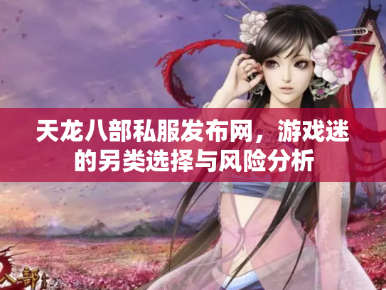天龙八部私服发布网，游戏迷的另类选择与风险分析