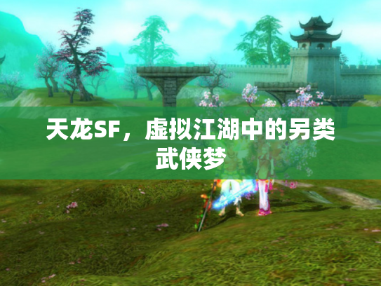 天龙SF，虚拟江湖中的另类武侠梦