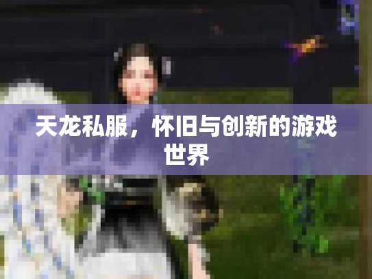 天龙私服，怀旧与创新的游戏世界