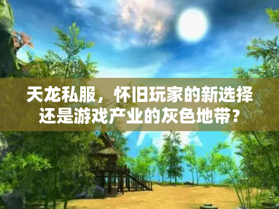 天龙私服，怀旧玩家的新选择还是游戏产业的灰色地带？