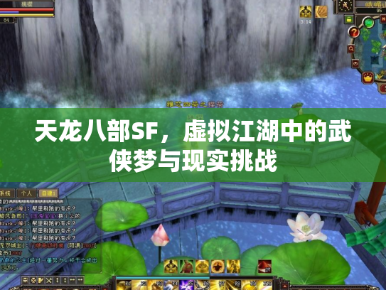 天龙八部SF，虚拟江湖中的武侠梦与现实挑战