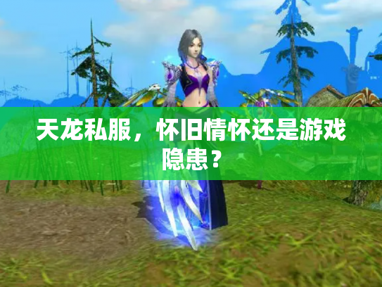 天龙私服，怀旧情怀还是游戏隐患？