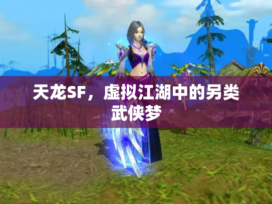 天龙SF，虚拟江湖中的另类武侠梦
