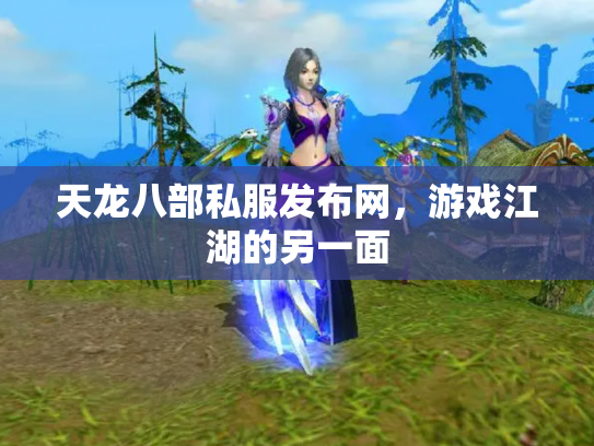 天龙八部私服发布网，游戏江湖的另一面