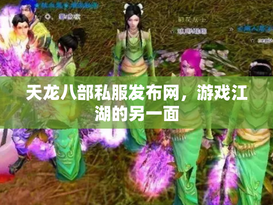 天龙八部私服发布网，游戏江湖的另一面