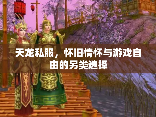 天龙私服，怀旧情怀与游戏自由的另类选择