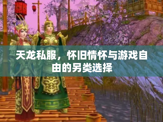 天龙私服，怀旧情怀与游戏自由的另类选择