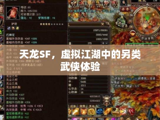 天龙SF，虚拟江湖中的另类武侠体验