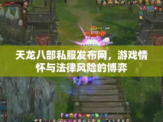 天龙八部私服发布网，游戏情怀与法律风险的博弈