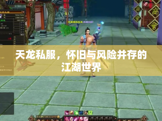 天龙私服，怀旧与风险并存的江湖世界