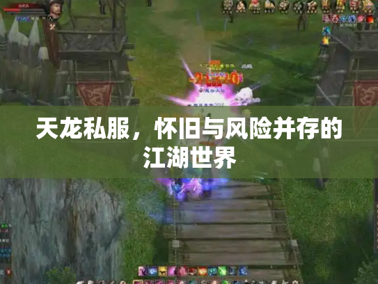 天龙私服，怀旧与风险并存的江湖世界