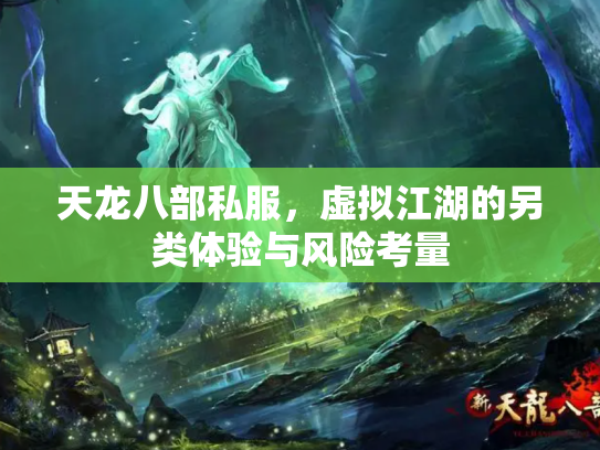 天龙八部私服，虚拟江湖的另类体验与风险考量