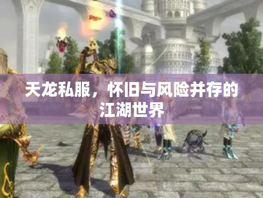 天龙私服，怀旧与风险并存的江湖世界