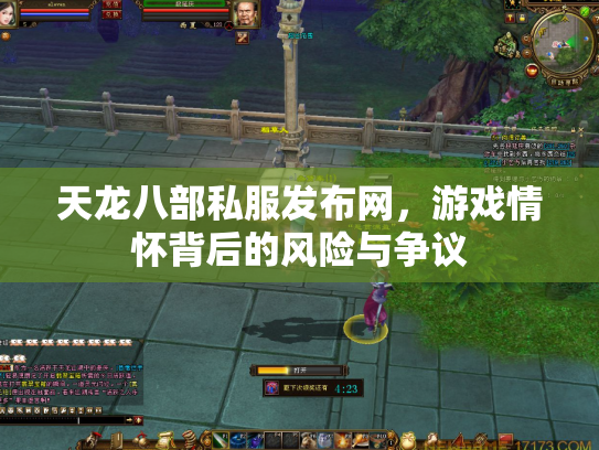 天龙八部私服发布网，游戏情怀背后的风险与争议