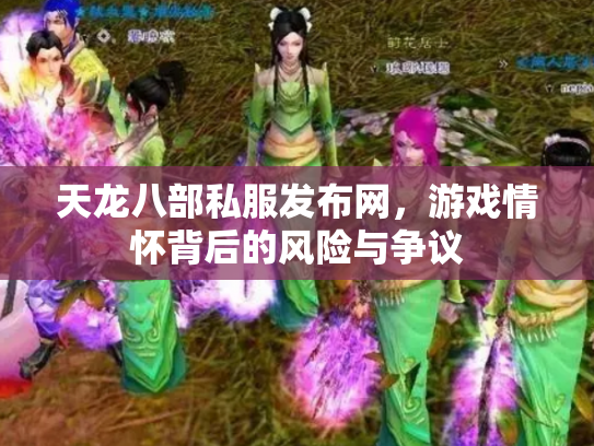天龙八部私服发布网，游戏情怀背后的风险与争议