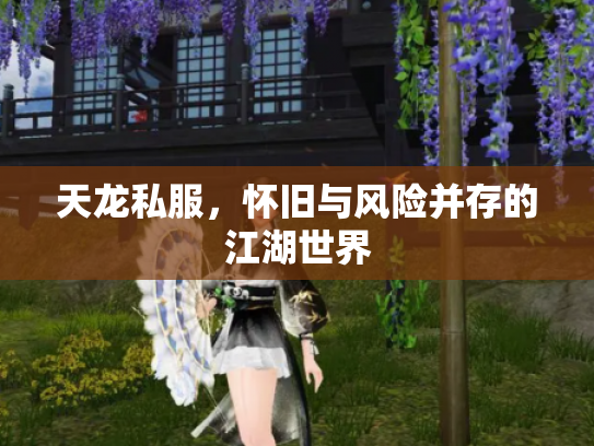 天龙私服，怀旧与风险并存的江湖世界