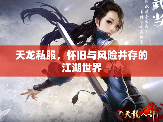 天龙私服，怀旧与风险并存的江湖世界