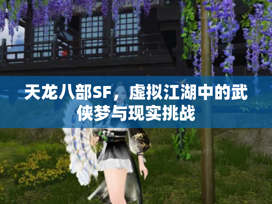 天龙八部SF，虚拟江湖中的武侠梦与现实挑战
