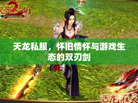 天龙私服，怀旧情怀与游戏生态的双刃剑