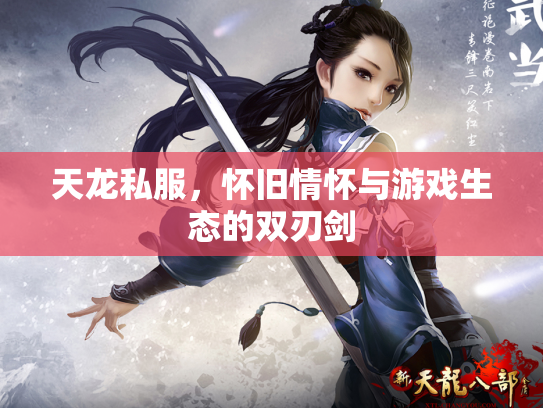天龙私服，怀旧情怀与游戏生态的双刃剑