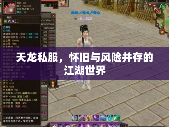 天龙私服，怀旧与风险并存的江湖世界