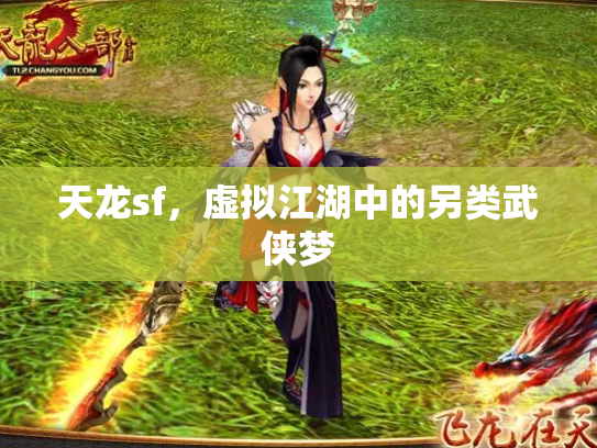天龙sf，虚拟江湖中的另类武侠梦