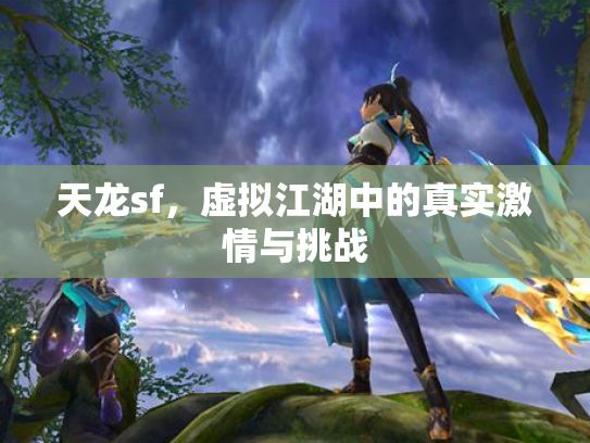 天龙sf，虚拟江湖中的真实激情与挑战