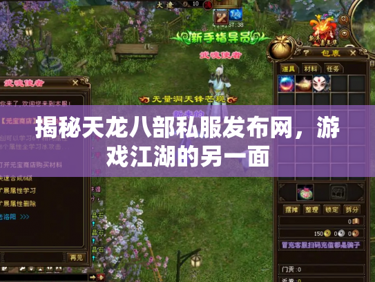 揭秘天龙八部私服发布网，游戏江湖的另一面