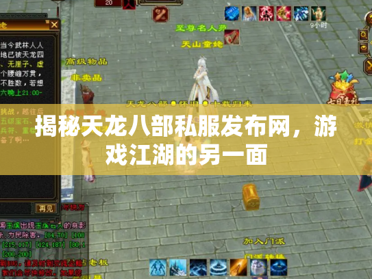 揭秘天龙八部私服发布网，游戏江湖的另一面