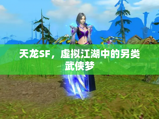 天龙SF，虚拟江湖中的另类武侠梦