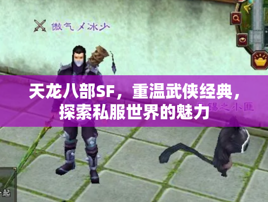 天龙八部SF，重温武侠经典，探索私服世界的魅力