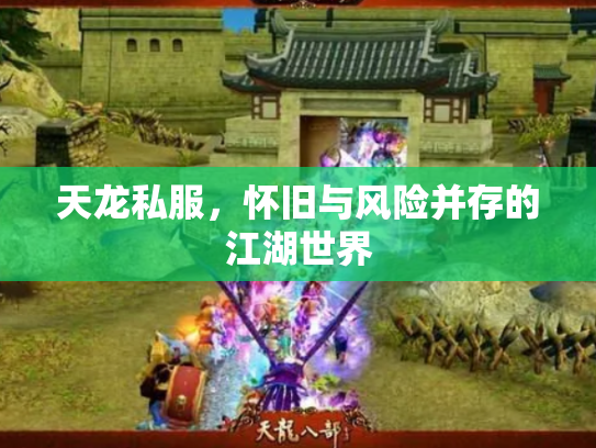 天龙私服，怀旧与风险并存的江湖世界