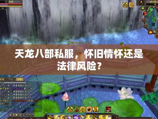 天龙八部私服，怀旧情怀还是法律风险？