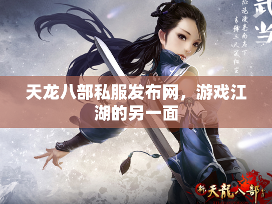 天龙八部私服发布网，游戏江湖的另一面