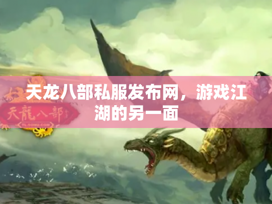 天龙八部私服发布网，游戏江湖的另一面