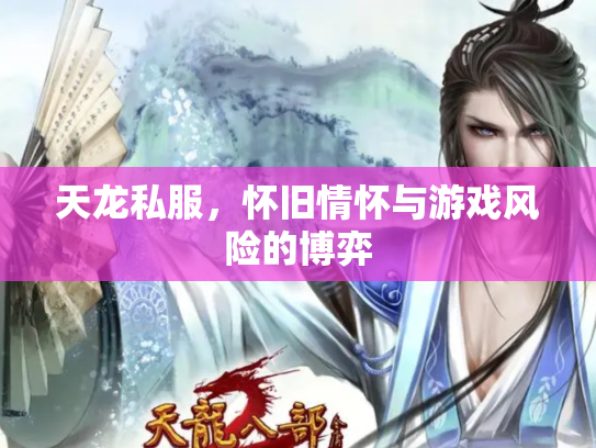 天龙私服，怀旧情怀与游戏风险的博弈