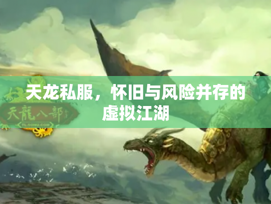 天龙私服，怀旧与风险并存的虚拟江湖