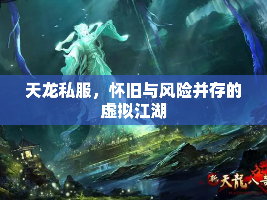 天龙私服，怀旧与风险并存的虚拟江湖