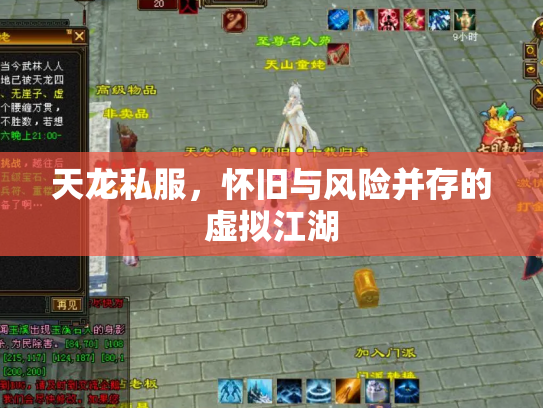天龙私服，怀旧与风险并存的虚拟江湖