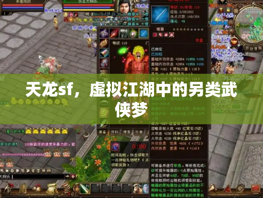 天龙sf，虚拟江湖中的另类武侠梦