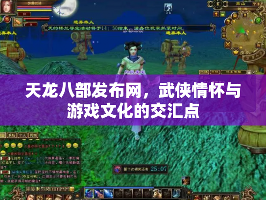 天龙八部发布网，武侠情怀与游戏文化的交汇点
