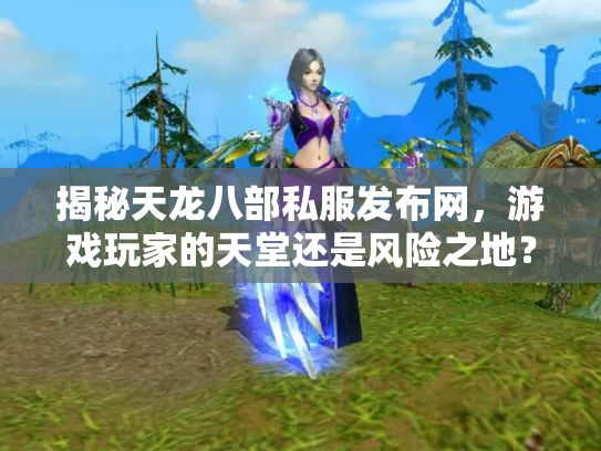 揭秘天龙八部私服发布网，游戏玩家的天堂还是风险之地？