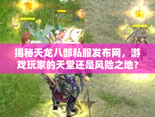揭秘天龙八部私服发布网，游戏玩家的天堂还是风险之地？